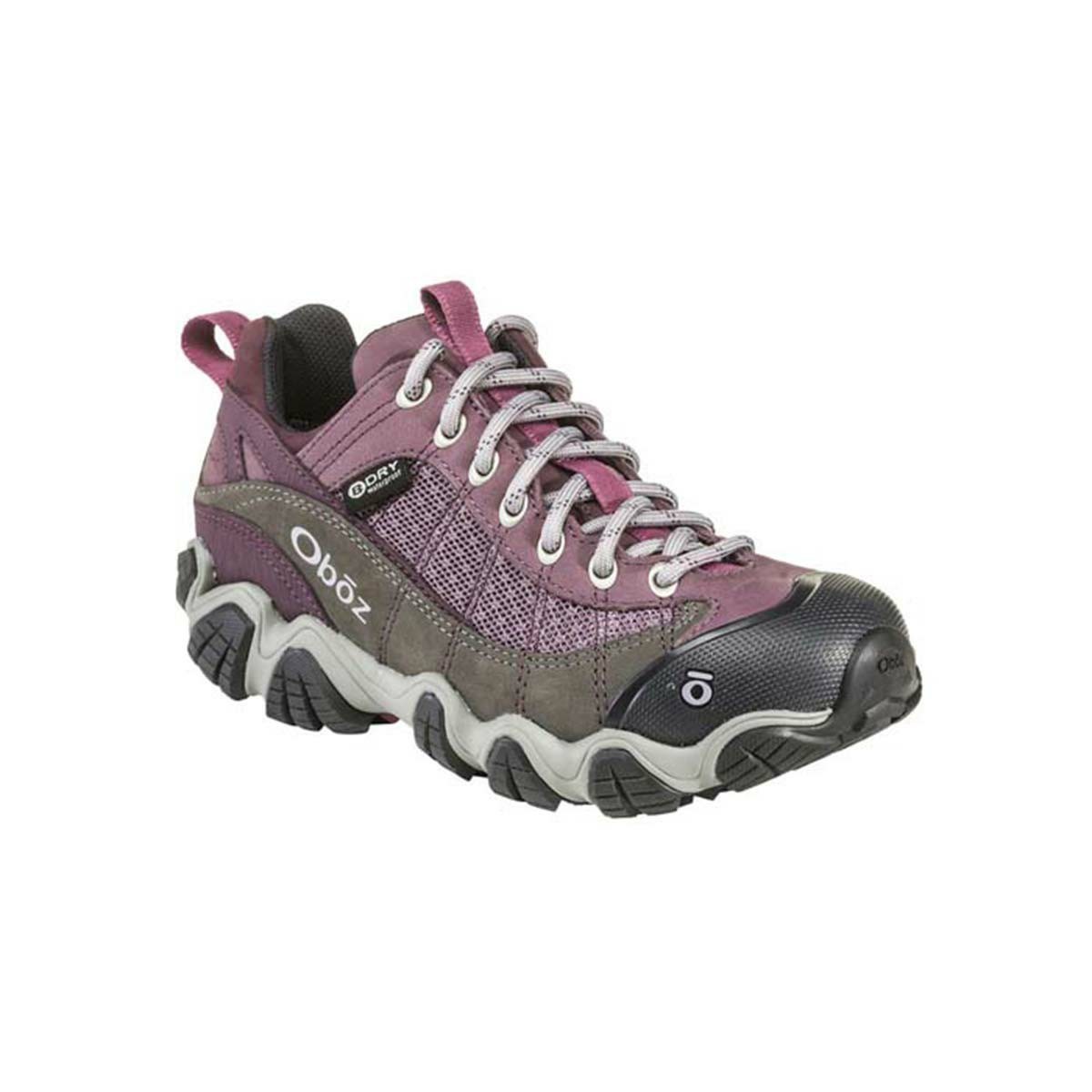 Women\'s Oboz Firebrand II Low Waterproof Hiking Boots Purple | YC2165490